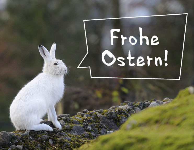 Frohe Ostern - Bild: Stefan Huwiler / ImageBroker.com