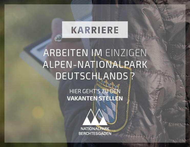 Karriere im Nationalpark