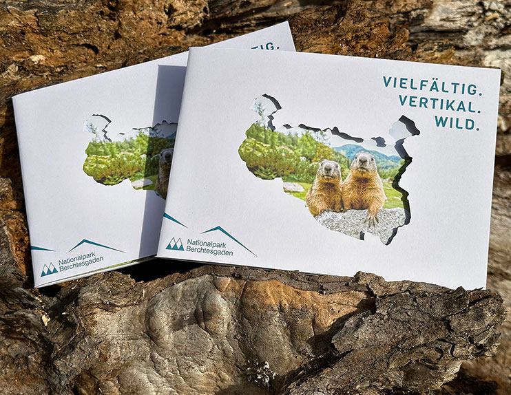 © NPV BGD - Wildnisbroschüre