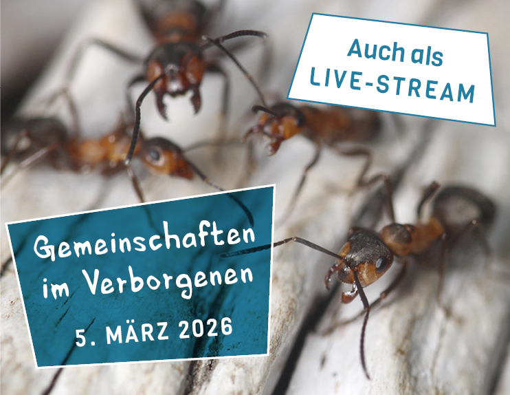 Wintervortragsreihe 2026