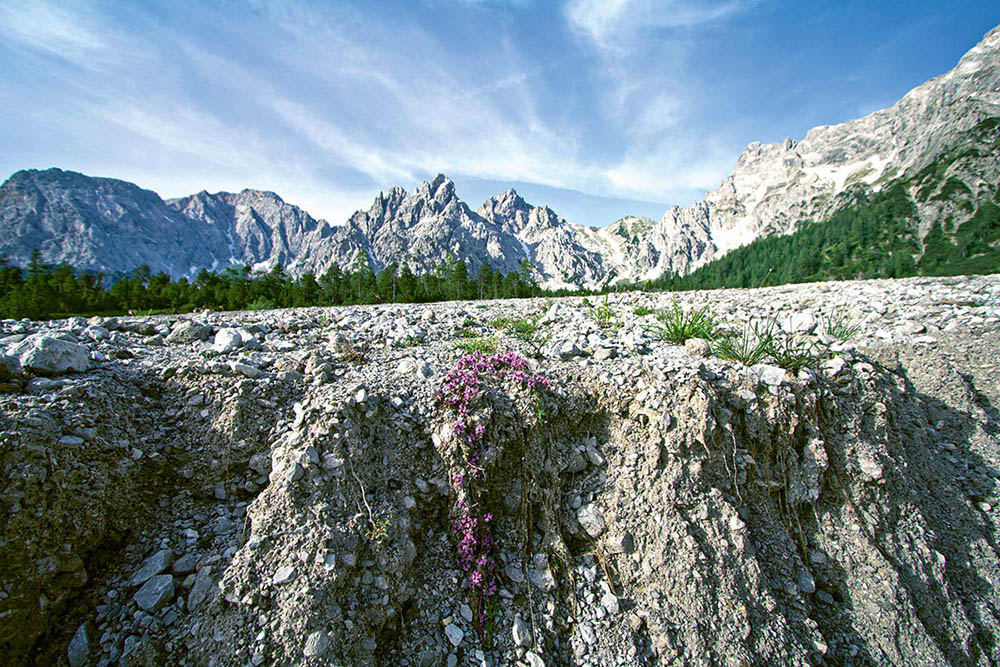 Geological excursion to the Wimbach valley