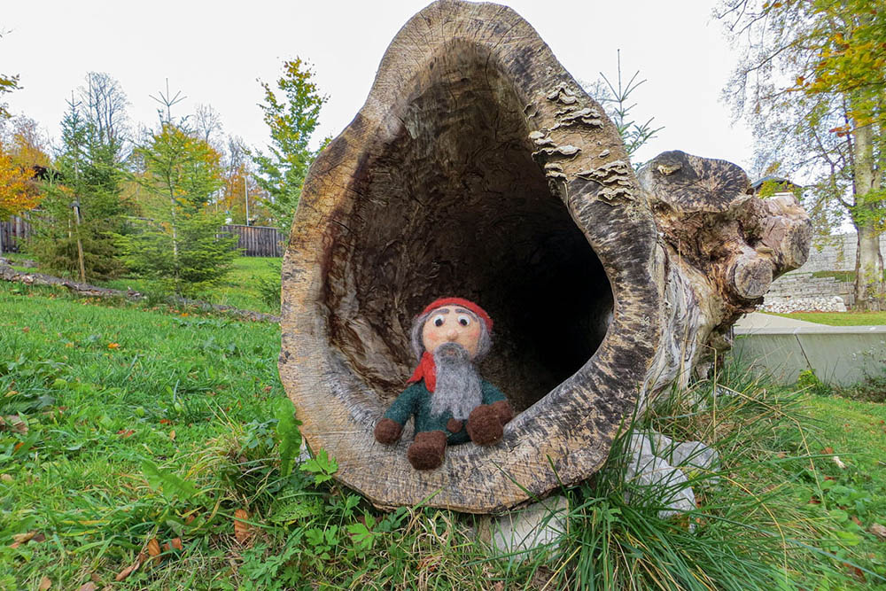 Fabulous gnome world