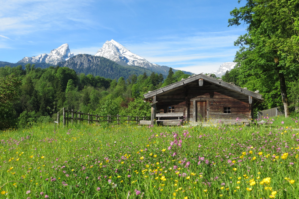 Almhütte im Außengelände des Nationalparkzentrums