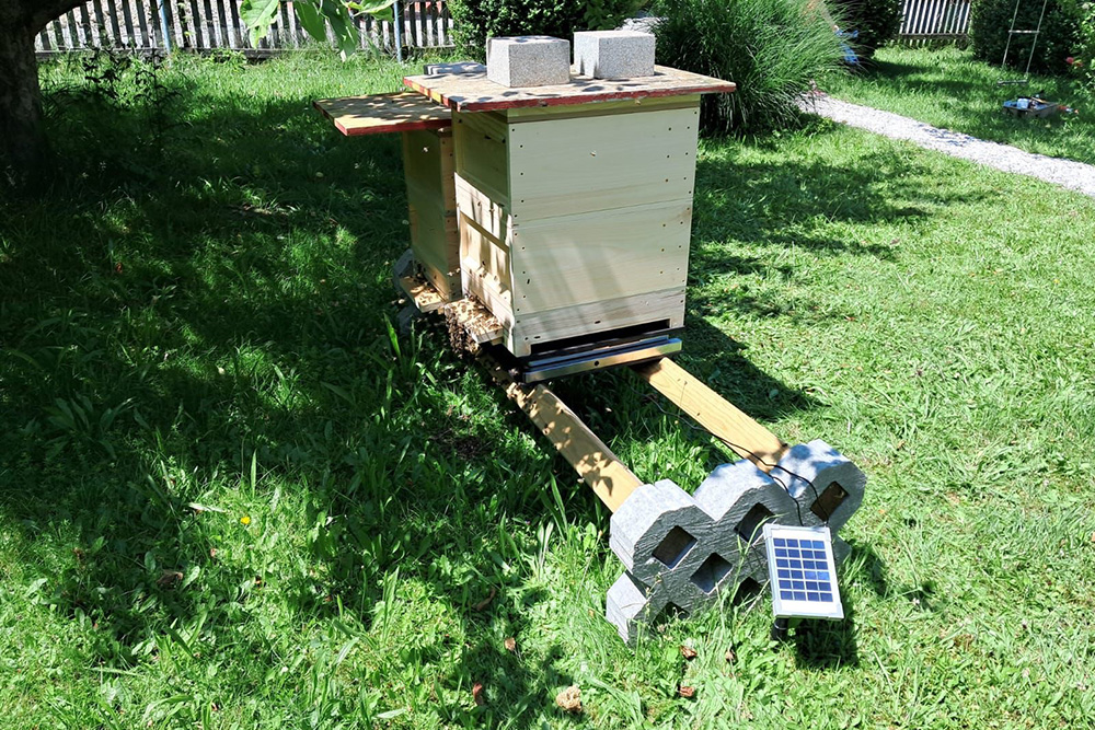 Grundschule Bischofswiesen