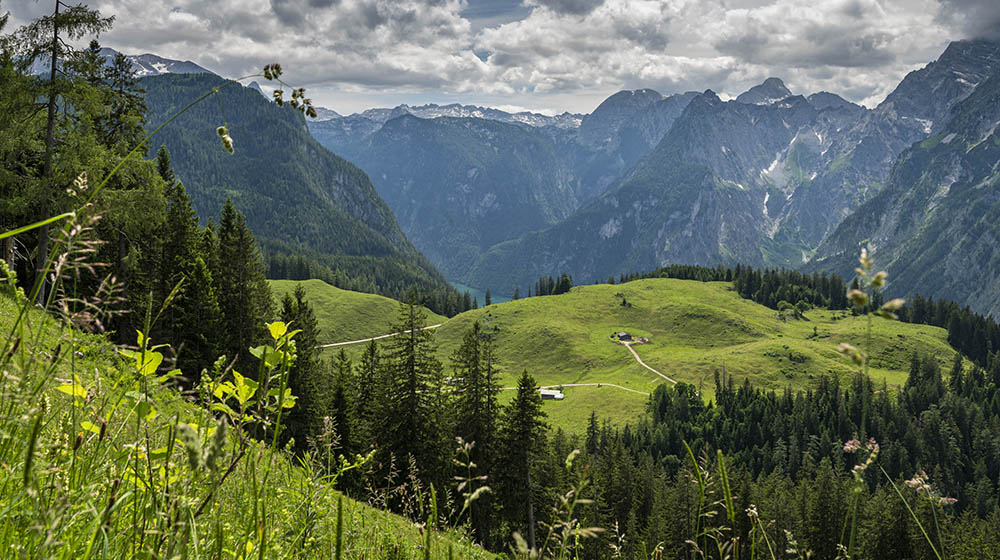 Mountain huts and alpine pastures