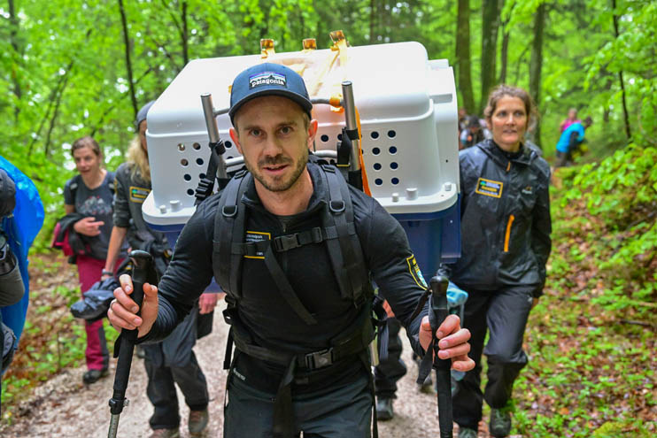 Nationalparkranger Sebastian Graßl trägt Nepomuk - © Hansruedi Weyrich (weyrichfoto.ch)