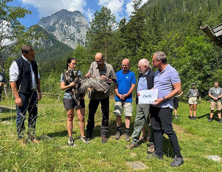 Präsentation der Bleichmuster bei Bartgeier Zierli - © NPV BGD