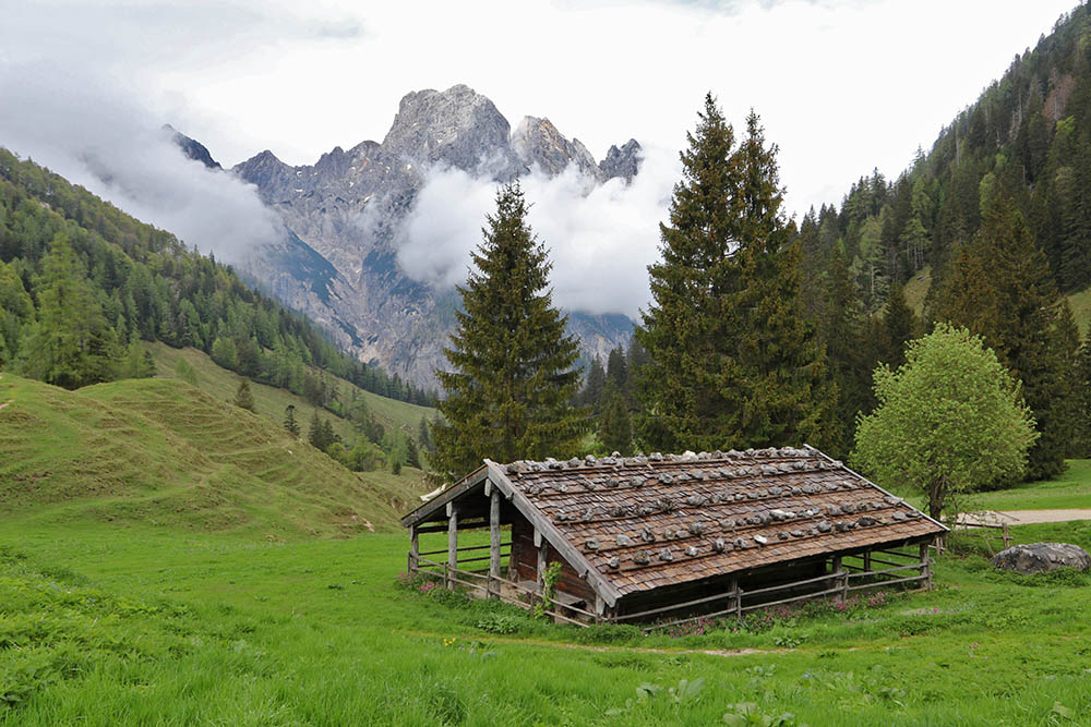 Alpine farming