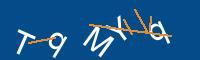 Captcha eingeben