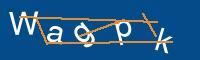 Captcha eingeben