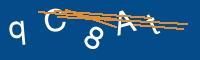 Captcha eingeben