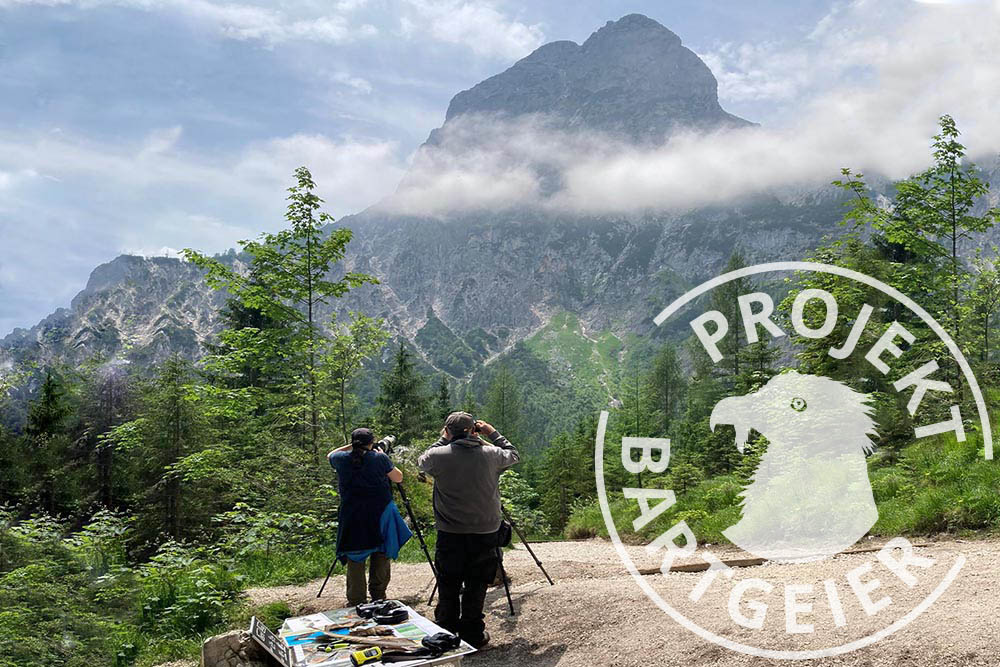 Nationalpark-Einrichtungen Bartgeier-Beobachtungspunkt