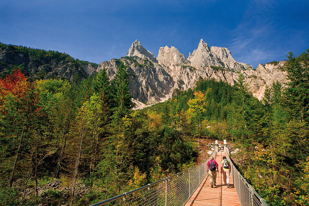 Nationalpark-Einrichtungen Hängebrücke