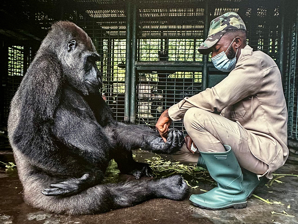 GTD Europäischer Naturfotograf des Jahres 2024 Foto: © Gerard Carbonell (ES)