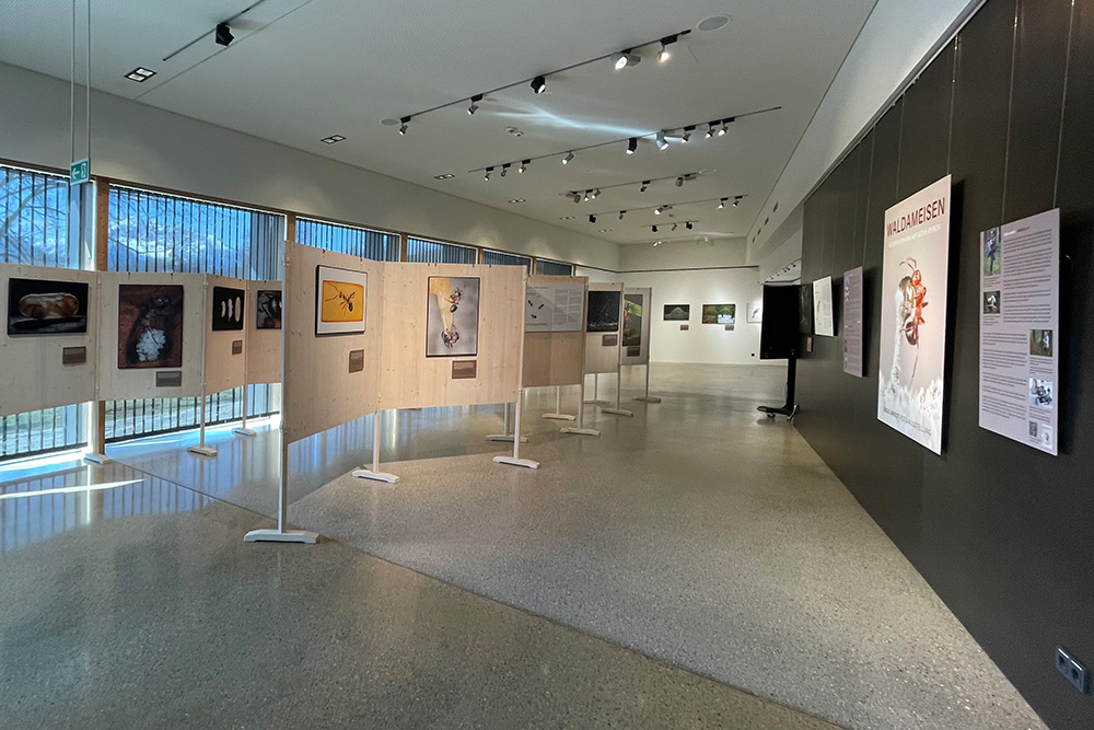 Wechselausstellung