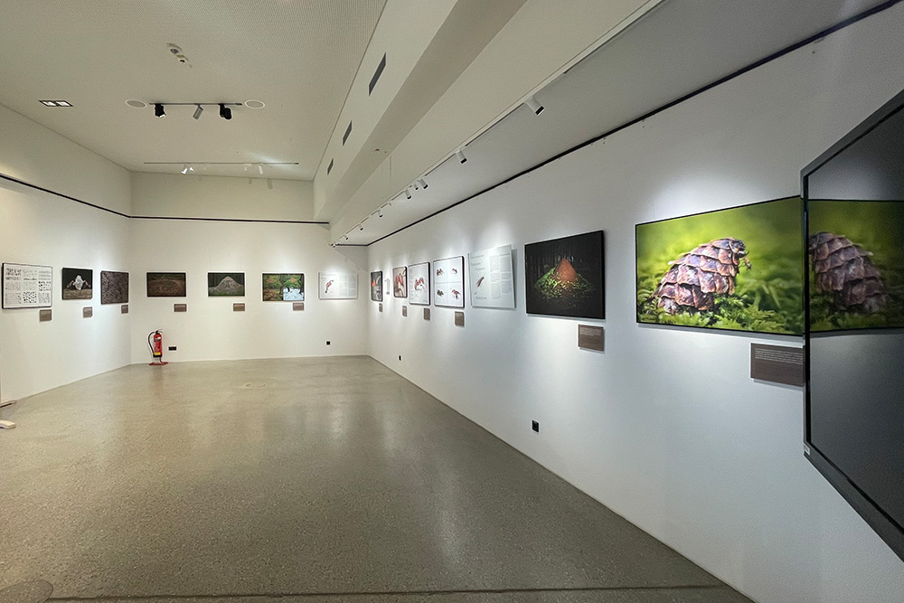 Wechselausstellung