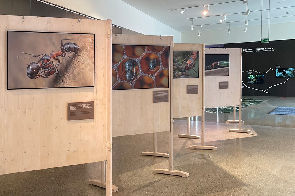 Wechselausstellung