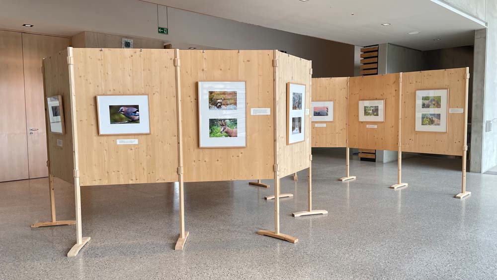 Wechselausstellung