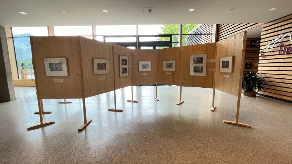 Wechselausstellung