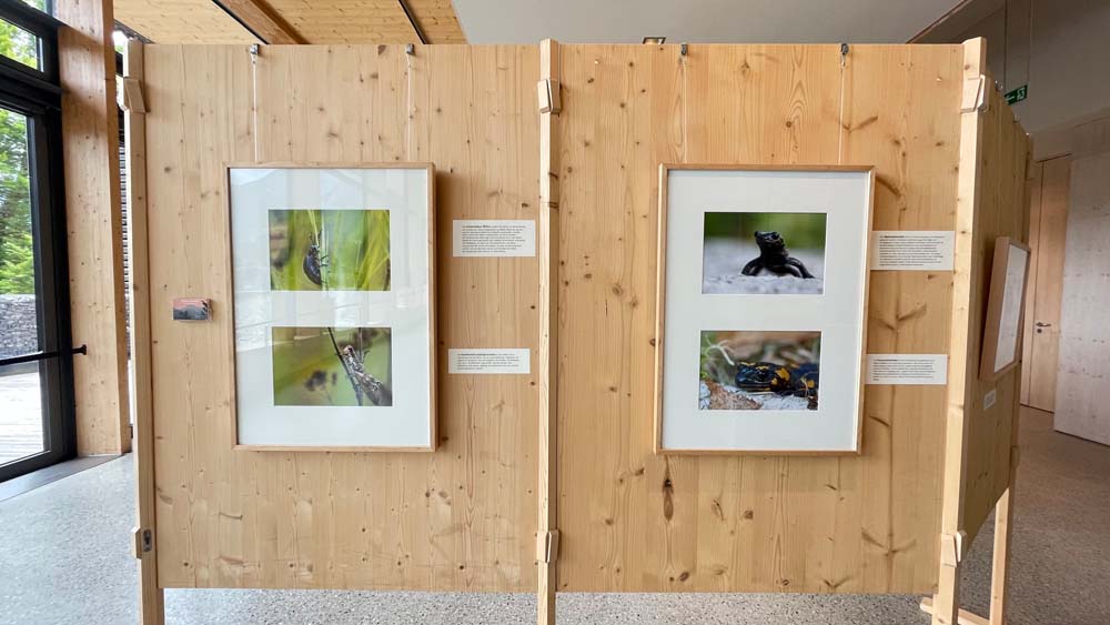 Wechselausstellung