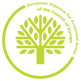 Logo Europadiplom