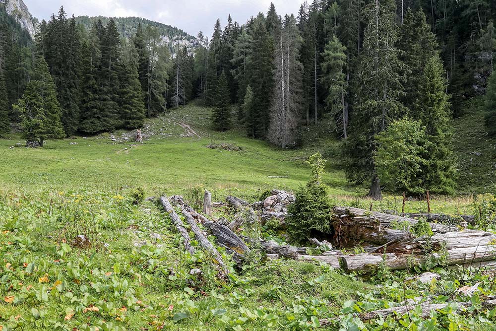 Vergleichsaufnahme - Seeau-Alm