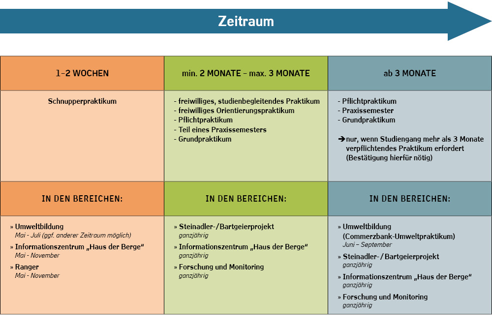 Tabelle Programm Praktika