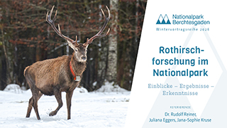 Die Aufnahme zeigt den Wintervortrag vom 05.02.2026. Auf dem Bild liegt ein Start-Button zum Aktivieren des Videos