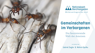 Die Aufnahme zeigt den Wintervortrag vom 05.03.2026. Auf dem Bild liegt ein Start-Button zum Aktivieren des Videos