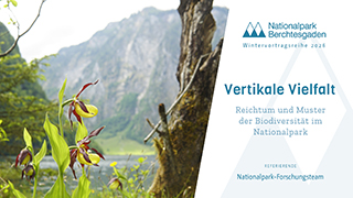 Die Aufnahme zeigt den Wintervortrag vom 02.04.2026. Auf dem Bild liegt ein Start-Button zum Aktivieren des Videos