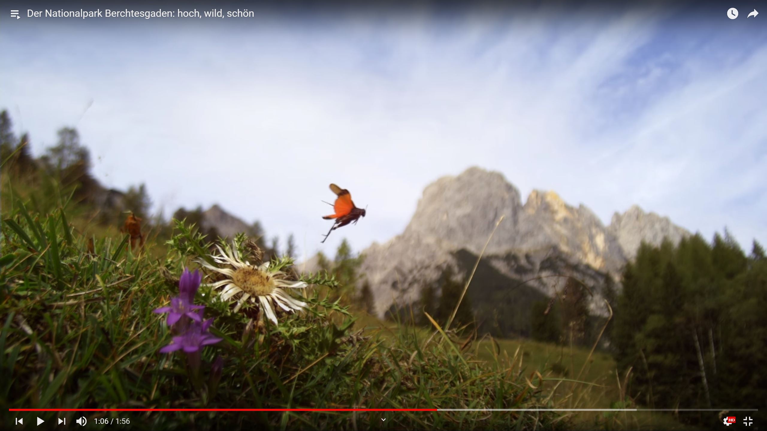 Der Nationalpark Berchtesgaden: hoch, wild, schön
