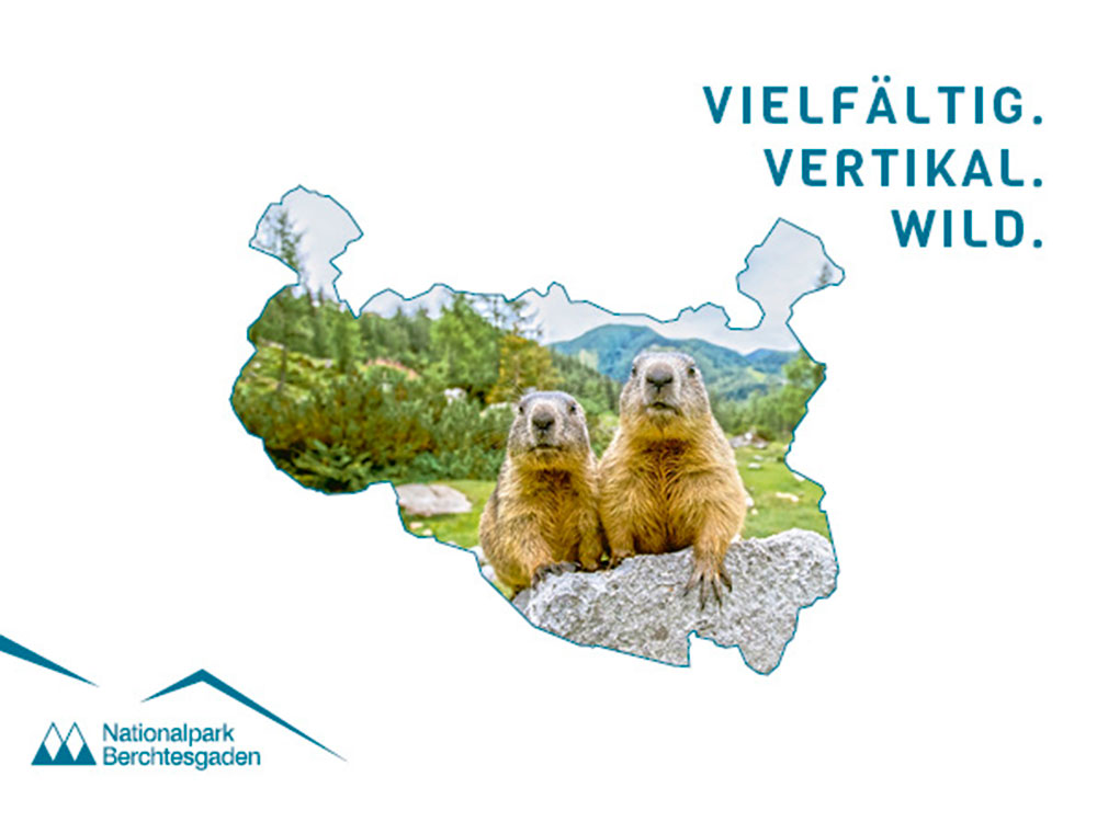 Vielfältig. Vertikal. Wild