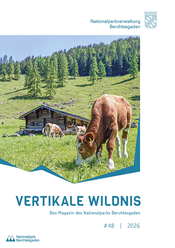 «Vertikale Wildnis» Ausgabe 48